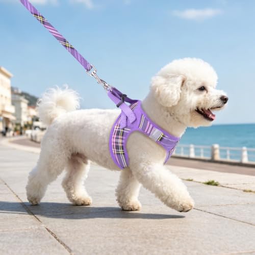 Dog Harness Collar and Leash Set No Pull for Small Medium Sized (Purple / XXS (CHEST 11.5"-13"))