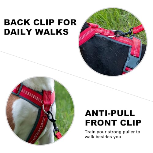No Pull Dog Harness (S / Red)
