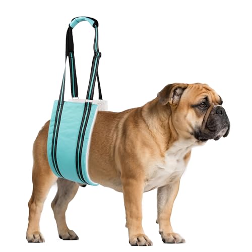 Adjustable Dog Sling Dog Lift Harness Hind Leg Support (Turquoise / S)