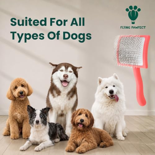 Premium Slicker Brush for Dogs (Coral / Curved Large)