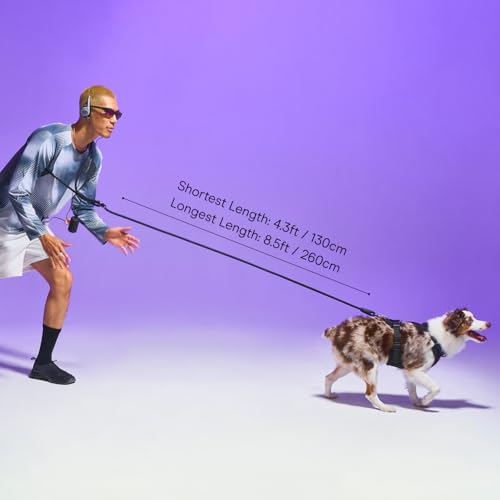 Hands Free Adjustable Rope Dog Leash (Spruce)