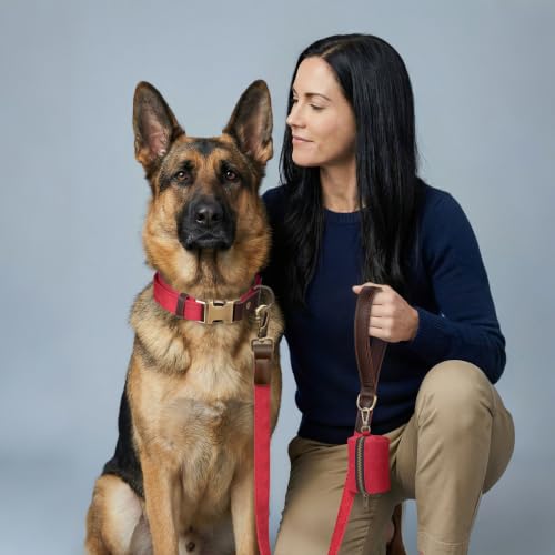 PU Leather Dog Leash for Large Dogs (Red / 1"x 6FT)