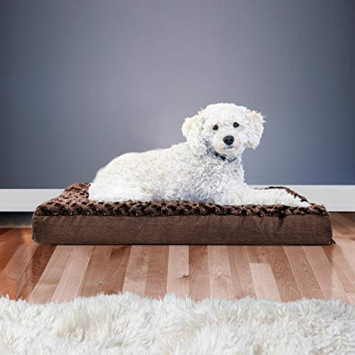 Orthopedic Dog Bed for Medium (Medium / Minky Chocolate)