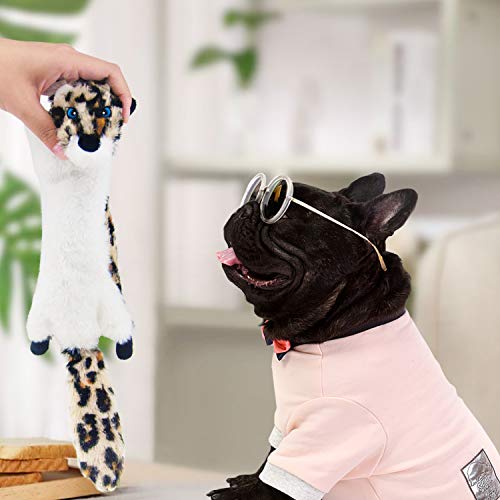 Dog Squeaky Toy No Stuffing 6 Pack (For Medium and Large Breed / 6 Pack - Variety)