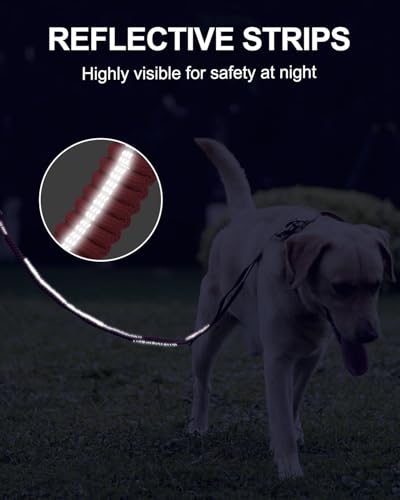 Tactical Bungee Dog Leash (Hot pink)