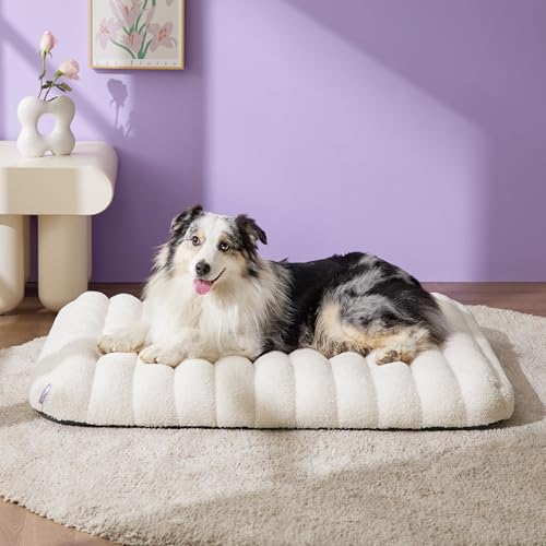 Cute Orthopedic Dog Bed Large Sized Dog (36"L x 27"W x 4"Th / Cream)