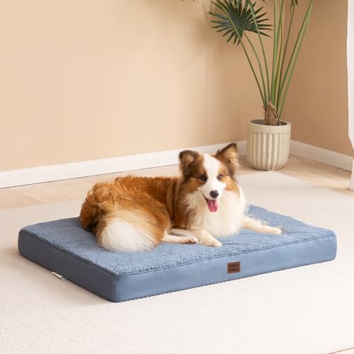 Orthopedic Dog Bed Extra Large with Removable Washable Cover (47*29*3.5 inches / Spa Blue)