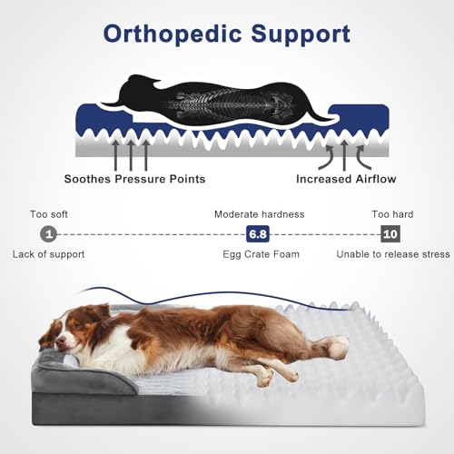 Orthopedic Medium Dog Bed (35.0''l x 25.0''w x 6.5''th / Grey)