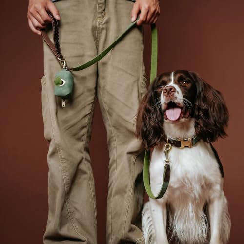PU Leather Dog Leash for Medium Dogs (Green / 3/4''x 5FT)