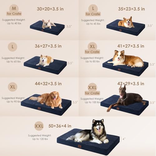 Orthopedic Dog Bed Large with Removable Washable Cover (41*27*3.5 inches / Navy)