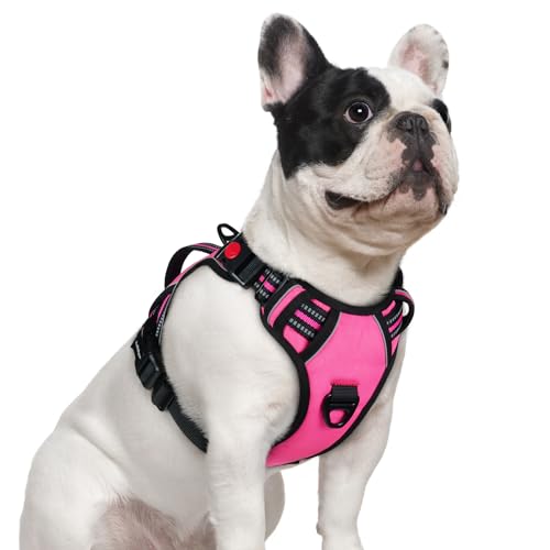 Large Dog Harness (Small / Pink)