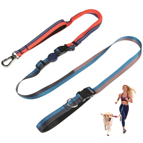Hands Free Dog Leash with Waist Belt for Running & Walking (Sunset Blaze)