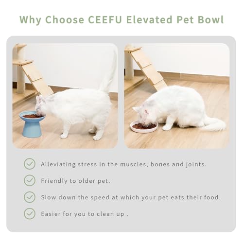 Extra Wide Elevated Ceramic 6.2" Deeper Cat Water Bowl (Blue-Deeper)