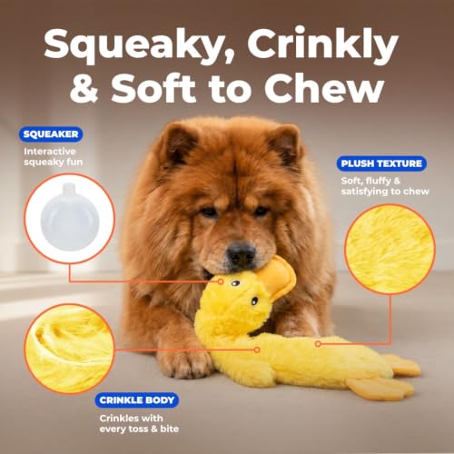 Interactive Squeaky Dog Toy (Crinkle Duck (Yellow) / Large)