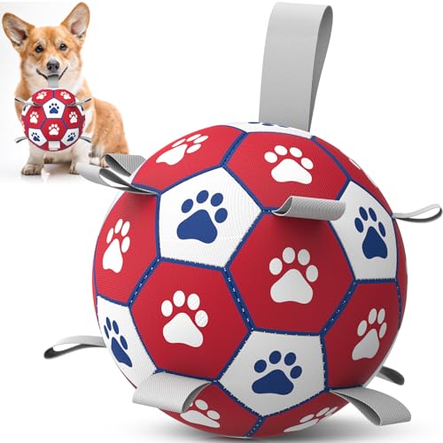 Dog Balls 6 Inch Balls for Dogs with Straps (6 Inch / Red)