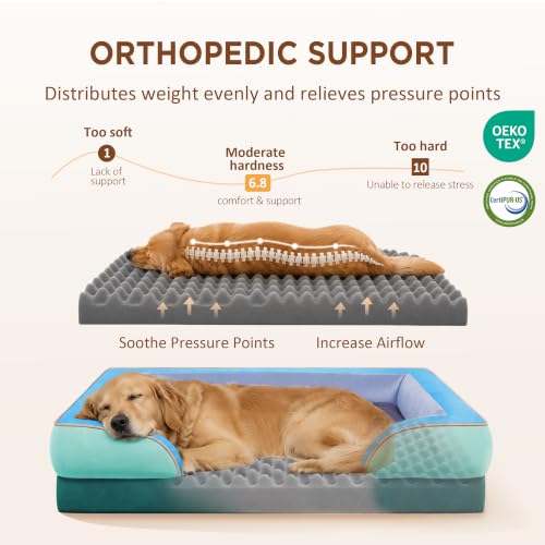 Orthopedic Dog Beds for Large Sized Dog with Bolster (36.0"L x 27.0"W x 8.0"Th / Violet Tide)