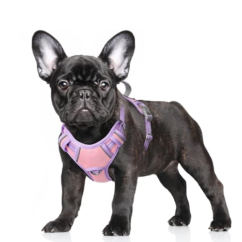 Dog Harness for Small Sized Dog No Pull Dog Vest ID Tag Pocket (Baby Pink & Violet Purple / Small)