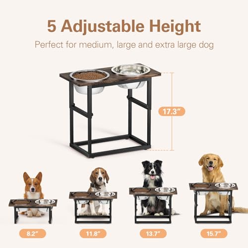 Elevated Dog Bowls for X (Black)