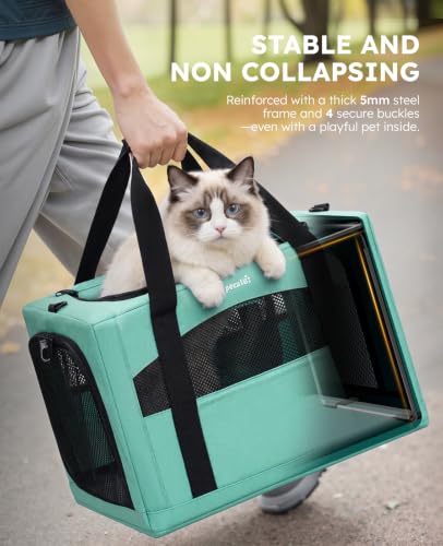 Cat Carrier Stable (Light Green / 18.5"L x 12.9"W x 11.8"H)