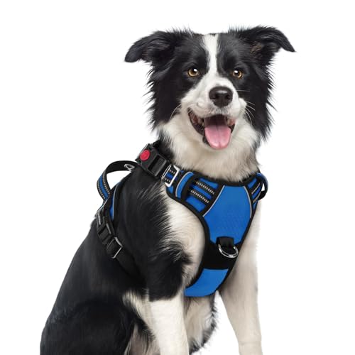Dog Harness Medium Sized (Royal Blue / Medium)