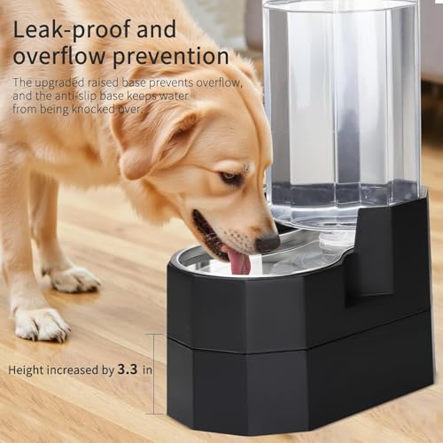 8L Raised Pet Water Dispenser (Black / 8L Raised)