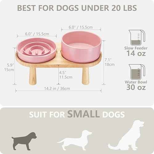 Ceramic Slow Feeder and Water Bowl Set for Small Dogs (Pink / 6" D)