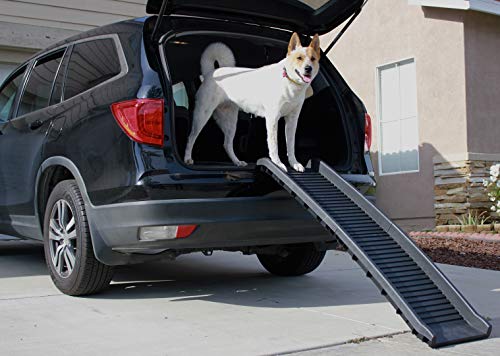 61" Folding Pet Ramp (Pack of 1 / Pet Ramp)