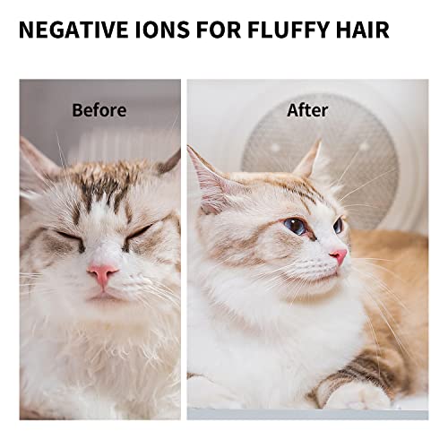 AIRSALON MAX Automatic Pet Hair Drying Box for Cat Puppy (White)