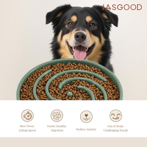 Slow Feeder Dogs Bowl for Large Medium Dogs (Large / Sage Green)