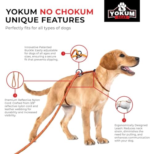 12ft No Pull No Choke Leash Long Rope Dog Leash (12 Ft / ORANGE)