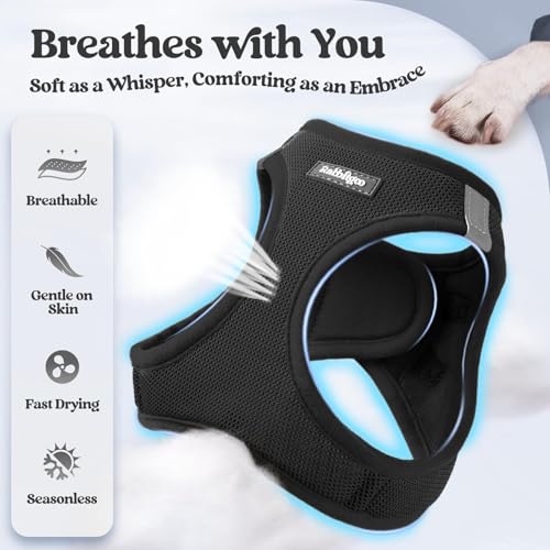 Dog Harness Small Sized and Leash Set (Black / Xs (chest: 13.3 - 15.5"))