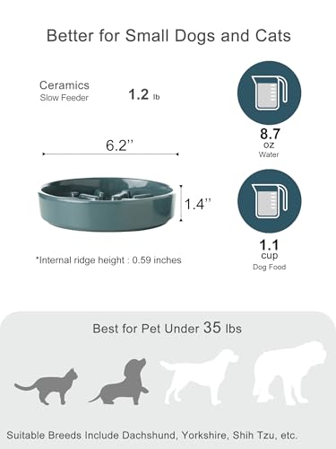 Ceramic Slow Feeder Dog Bowl (Lights-Blue / Small)