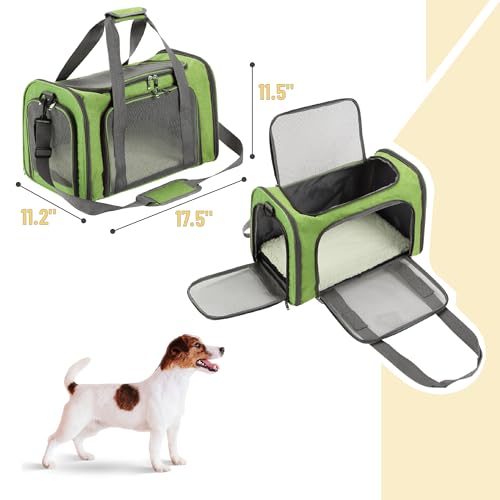 Pet Carrier 17.5" x 11.2" x 11.5" (Green)