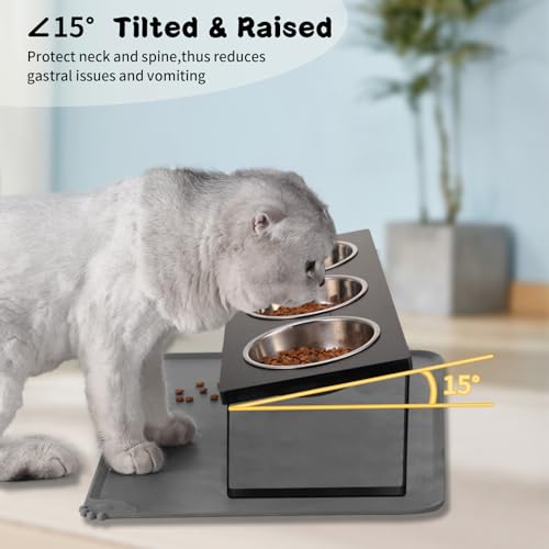 Upgraded Elevated Cat Bowls with Food Mat
