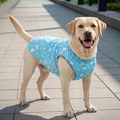 2Pack Dog Shirt for Large Dogs Soft Breathable T (XX-Large (40-55lbs) / 1# Polar bear+Ice)
