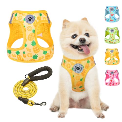 Dog Harness Medium Sized and Leash Set (Medium(Chest Girth 16" - 18") / Pineapple)