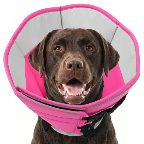 Large Dog Cone Collar (PinkGrey / X-Large)