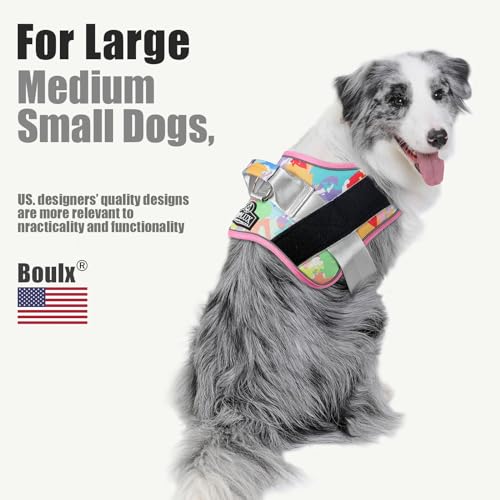 Dog Harness No (X-Large (Pack of 1) / OilPainting)