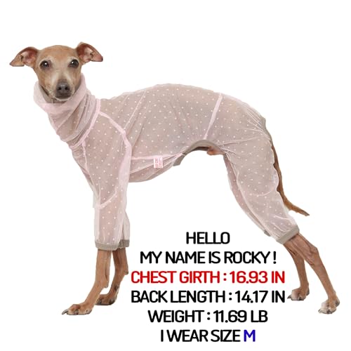 D Doggy Star Italian Greyhound Clothes Sheer Mesh Onesie Summer Jumpsuit Breathable Full Body Protection for Outdoor Walks Small Whippet Fit (3XL / Sheer Mesh Pink)