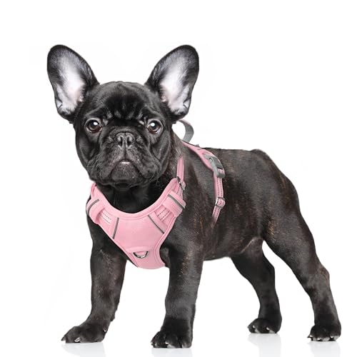 Dog Harness for Small Sized Dog No Pull Dog Vest ID Tag Pocket (Baby Pink / Small)