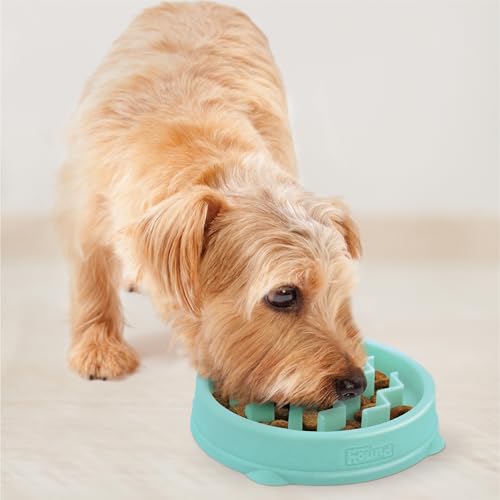 Fun Feeder Slo Bowl Dog Slow Feeder (Mint / Small)