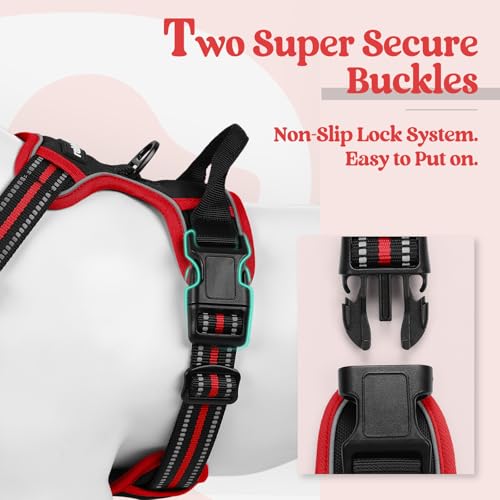 Dog Harness No Pull Medium Sized with 2 Leash Clips (Medium / Black & Red)