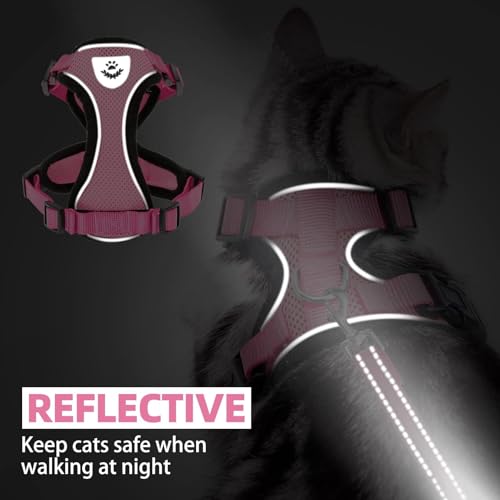 Cat Harness and Leash Set Escape Proof Reflective Cat Walking Harness Adjustable Soft Breathable Mesh Vest for Small Pets (XS (NECK 8.5", CHEST 11"-14") / Light Pink)