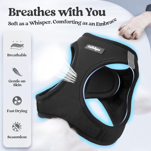 Dog Harness Small Sized and Leash Set (Black / Xxxs (chest: 10.8 - 11.8"))