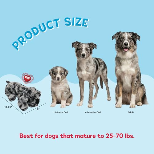 Snuggle Puppy Heartbeat Toy (Merle / 1 Count (Pack of 1))