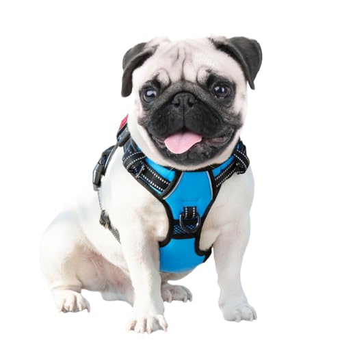 No Pull Dog Harnesses for Small Dogs Reflective Adjustable (Small / Blue)
