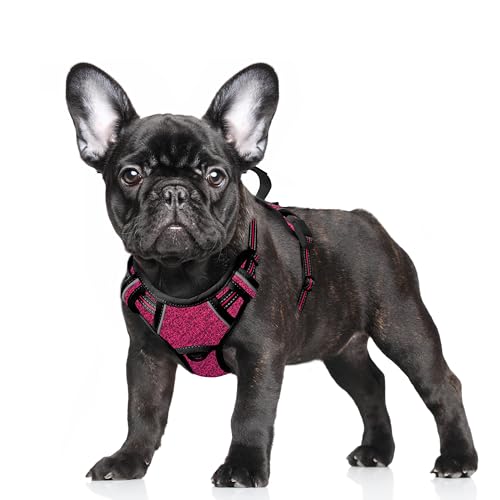 Dog Harness for Small Sized Dog No Pull Dog Vest ID Tag Pocket (Pink/Black / Small)