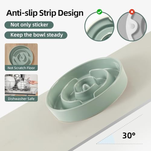 Elevated Slow Feeder Dog Bowls (Light Green)