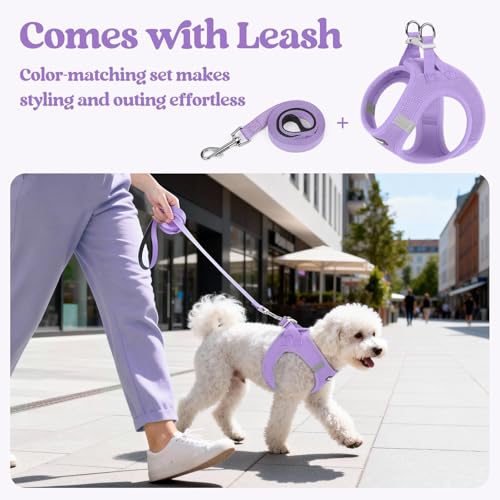 Dog Harness Small Sized and Leash Set (Light Purple / S (chest: 15.1 - 16.5"))