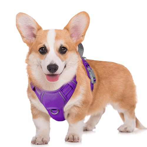 No Pull Dog Harness Large Reflective Dog Harness with Front Clip and Easy Control Handle for Walking Training Running with ID tag Pocket (Purple / Medium)